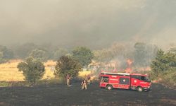 Foça'da büyük mücadele... Alevler cephaneliğe dayandı!