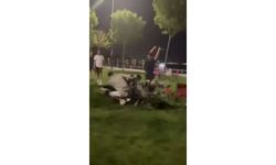 Piknik yapan iki grup arasında sopalı yumruklu kavga