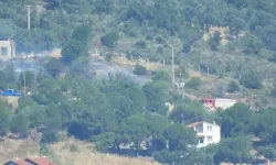 Cunda Adası'nda orman yangını!
