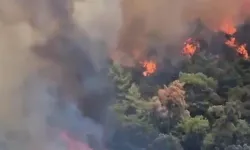 Balıkesir'de orman yangını!