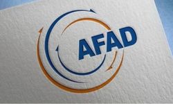 AFAD'dan 9 ildeki orman yangınlarına dair açıklama