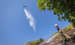 Aliağa’da alevlere hızlı müdahale!