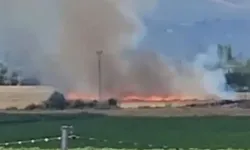 Anız yangınında 7 dönümlük alan zarar gördü!
