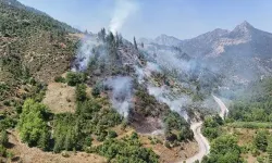 Adana'da orman yangını!