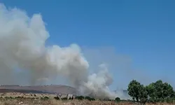 Ayvalık'ta çöplükte yangın!