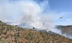 Muğla'da çıkan orman yangınına müdahale ediliyor