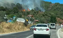 Yalova’da orman yangını!