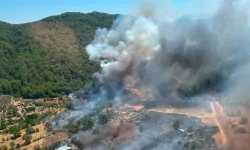 Fethiye'de çıkan orman yangınına havadan ve karadan müdahale!