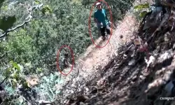 CHP ilçe başkanı ve oğlu fotokapana yakalandı: Kenevir tarlasını sularken görüntülendi!