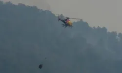 İspanya'da orman yangını: 11 ölü