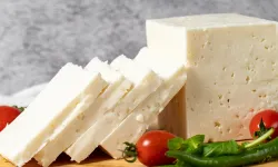 GMO'dan "Listeria" uyarısı: Peynirde ölümcül tehlike!