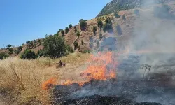 Diyarbakır’da örtü yangını!