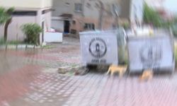 Bebeğini çöpe bırakıp, karısını darbetti!