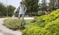 Karşıyaka Belediyesi’nden haşerelerle kararlı mücadele!