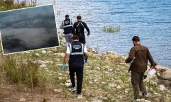 Sapanca Gölü'ndeki pamuksu tabakanın nedeni ortaya çıktı