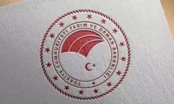 Tarım ve Orman Bakanlığı: Çekirge istilası söz konusu değil