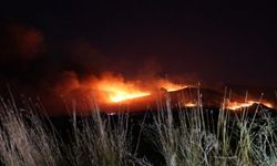İzmir'de makilik alanda yangın!