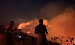 Bakan Yumaklı açıkladı: 2 günde kaç orman yangını çıktı?