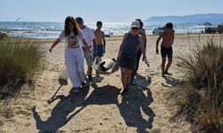 Sahillerde üzen tablo: 3 caretta caretta ölü olarak bulundu