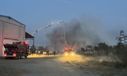 Afyonkarahisar'da fabrika bahçesinde yangın