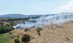 Muğla'da yangın: Havadan ve karadan müdahale!