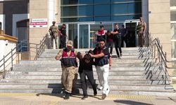 Şanlıurfa'da cinsel saldırı iddiasıyla 14 şüpheli tutuklandı