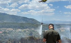 İzmir'de zirai alandan zeytinliğe sıçrayan yangın kontrol altına alındı