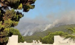Milas'ta ormanlık alanda çıkan yangına müdahale ediliyor