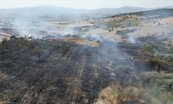 Manisa'da otluk alanda çıkan yangın söndürüldü
