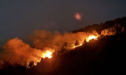 İzmir'de orman yangını!