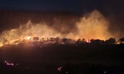 Alevlerin son adresi Dikili... Trafo iddiası!