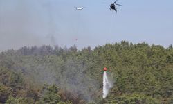 Fethiye'den sevindiren haber!