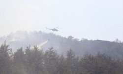 Fethiye'de yangın yeniden alevlendi