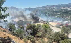 Bodrum'da konteynerde çıkan yangın makilik alana sıçradı