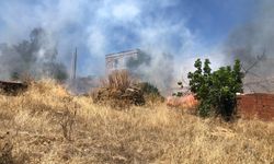 Bodrum'da çıkan orman yangını söndürüldü