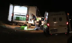 Seyir tepesinde dehşet... 1’i kadın 3 kişi öldürüldü