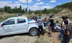 Manisa Büyükşehir'den üreticilere yem desteği!
