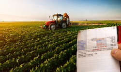 Faturalar 60 bin liraya dayandı... Çiftçi dalında zarar ediyor!