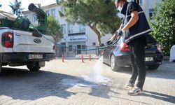 Didim'de planlı ilaçlama!