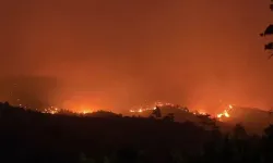 Antalya’da alevlerle mücadele: 3 günde 8 ilçede 34 yangın çıktı!