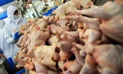Beyaz et tesisinde 'kimyasal' paniği: 34 işçi etkilendi