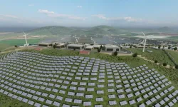 İzmir'in dev tarım üssünde sona doğru!