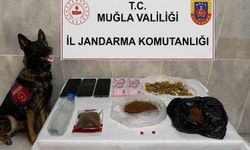 Jandarmadan bonzai baskını: 188 gram ele geçirildi