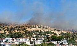 Foça'da makilik alanda yangın paniği