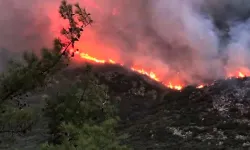 Kaş'ta orman yangını: Ekipler müdahale ediyor