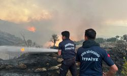 Aydın İtfaiyesi 1 haftada 446 yangına müdahale etti