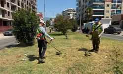 Aydın'ın yeşil alanları yenileniyor
