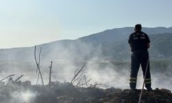 Aydın'da 8 günde 445 yangına müdahale