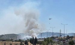 İzmir'de alevlerle savaş!