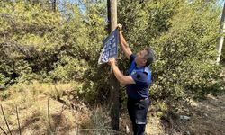 Bornova’da görsel kirliliğe zabıta freni!